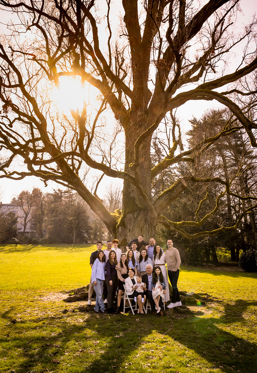 Familienfoto der ganzen Familie mit Grosseltern und Enkeln unter einer Eiche im Schlosspark Weinheim. Fotografiert vom Fotostudio Fischer.